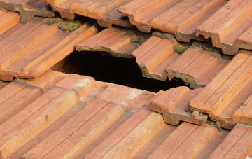roof repair Southleigh, Devon